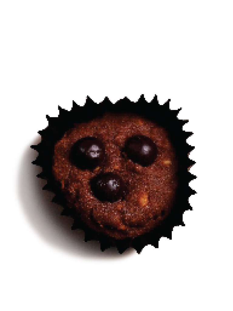 Choco Chip